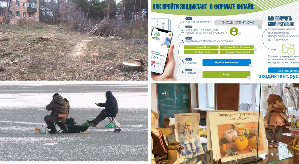 Елка шелехов у металлурга. Погода шелехов сейчас. Афиша шелехов сегодня. Афиша шелехов сегодня. Афиша шелехов сегодня.